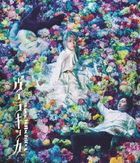 Musical VERACHICCA (Blu-ray) (Normal Edition) (Japan Version)