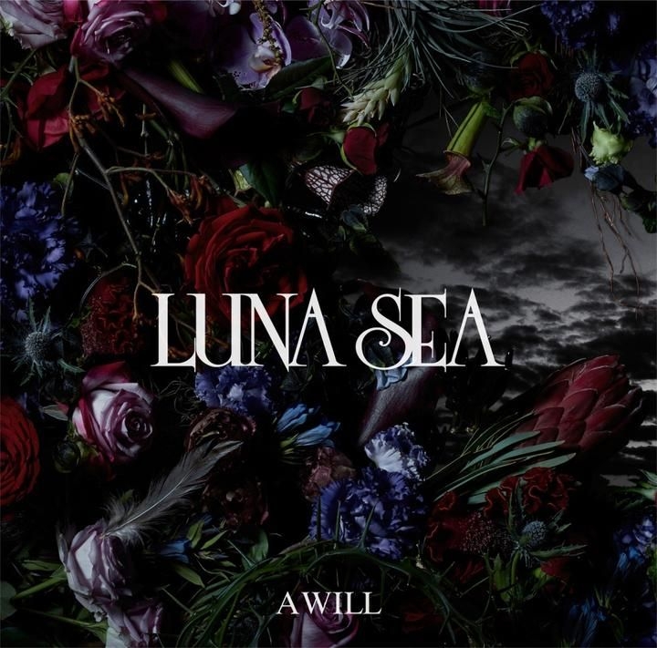 YESASIA : A WILL (普通版)(日本版) 鐳射唱片- LUNA SEA - 日語音樂