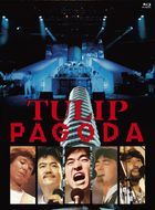 PAGODA-TULIP LAND IN ASHINOKO 1984.8.11 [BLU-RAY] (日本版) 