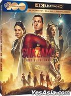 Shazam! Fury of the Gods (2023) (4K Ultra HD + Blu-ray + Digital Code) (US Version)