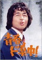 SEISHUN DOMANNAKA! DVD-SET (Japan Version)