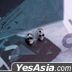 VIXX : N Style - Surgical Skull Earrings