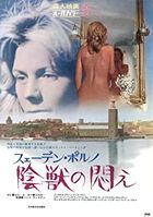 Nikkatsu Sweden Porn Injuu no Modae (DVD) (Japan Version)