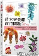 Qiao Mu Yu Man Teng Shang Hua Tu Jian