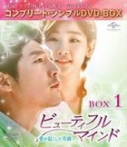 Beautiful Mind (DVD) (Box 1) (Special Priced Edition) (Japan Version)