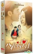 八九不離十 (2015) (DVD) (1-40集) (完) (中國版) 