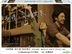 愛情，突如其來 (2016) (DVD) (台湾版)