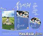 在藍色時分飛翔 (DVD) (韓國版)