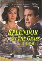 Splendor In The Grass (VCD) (Hong Kong Version)