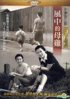 風中的母雞 (DVD) (台灣版) 