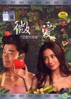 微愛之漸入佳境 (2014) (DVD) (マレーシア版)