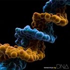 DNA (ALBUM+DVD)(Japan Version)