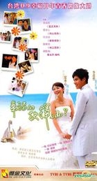 幸福的抉择 (H-DVD) (经济版) (完) (中国版) 