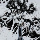 Plastic Tree   (Normal Edition) (Japan Version)