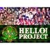 Hello! Project 誕生15周年記念ライブ 2013 冬 - ビバ! - (日本版)