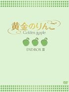Golden Era of Daughter in Law (DVD) (Boxset 3) (Japan Version)