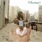 You're so Sweet & I Love You (Japan Version)