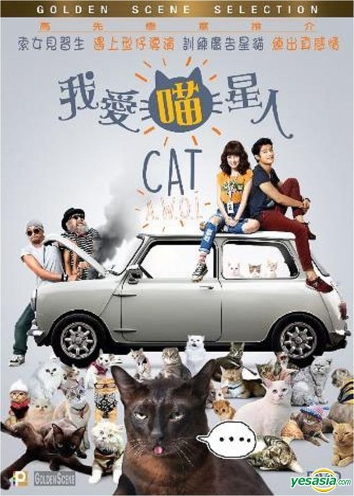 Cat movies hk free 3 List of