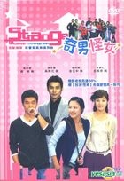 奇男怪女 (DVD) (第四輯) (韓/國語配音) (KBS劇集) (台灣版) 