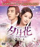 Twisted Fate of Love (DVD) (Box 3) (Simple Edition) (Japan Version)