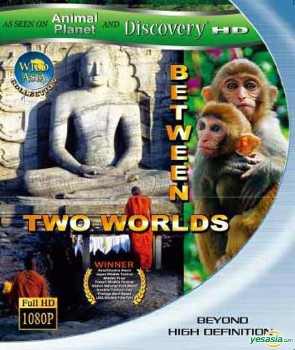 YESASIA: Between Two Worlds (Blu-ray) (Taiwan Version) Blu-ray ...