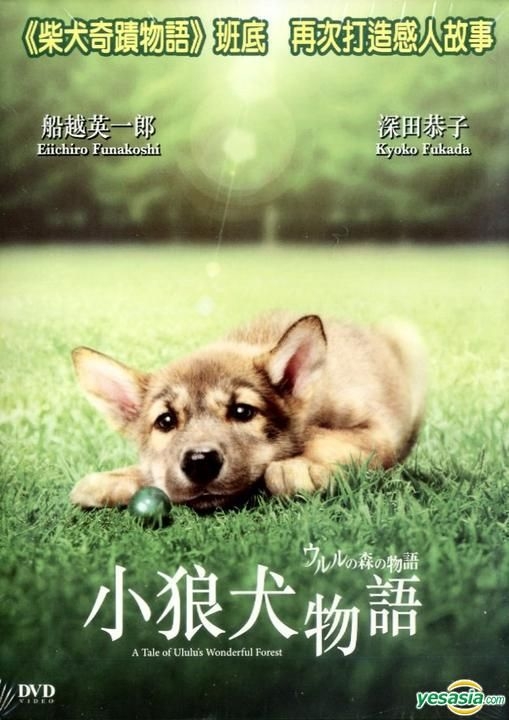 Yesasia 小狼犬物语 Dvd 香港版 Dvd 深田恭子 船越英一郎 日本影画 邮费全免 北美网站