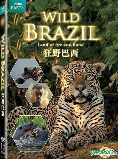 YESASIA: Wild Brazil: Land Of Fire And Flood (2014) (DVD) (BBC TV