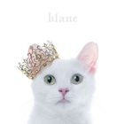 BEST SELECTION 'blanc' (Normal Edition) (Japan Version)