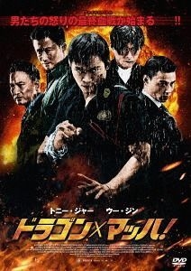 Kill Zone 2 DVD W/TONY JAA---WU JING---ZHANG JIN BRAND NEW
