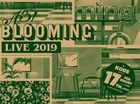 A3! BLOOMING LIVE 2019 神戶公演版 [DVD] (日本版) 