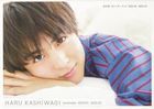 Kashiwagi Haru Calendar Book 2024.04-2025.03