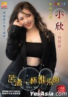 小欣 Vol.1 Karaoke (DVD) (马来西亚版) 