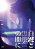 在黑键与白键之间 (DVD) (日本版)