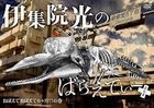 Ijyuin Hikaru no Variety Plus Vol.3 (DVD)(Japan Version)
