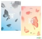 BTS Mini Album Vol. 4 - The Most Beautiful Moment in Life Pt. 2 (Random Version)