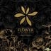 XIA (Jun Su) Vol. 3 - Flower (CD+DVD) (Special Edition)