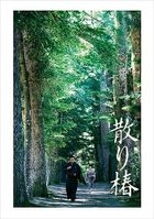 Samurai's Promise (DVD) (Japan Version)