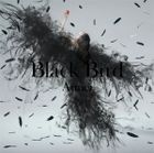 Black Bird / Tiny Dancers / Omoide wa Kirei de  (SINGLE+DVD)  (First Press Limited Edition) (Japan Version)