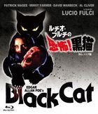 THE BLACK CAT (Japan Version)