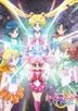 Pretty Guardian Sailor Moon Crystal Vol.13 (DVD) (Normal Edition)(Japan Version)