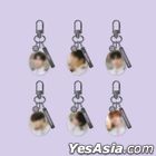Astro 2022 Fan Meeting [GATE 6] Official Goods - Photo Keyring (Rocky)