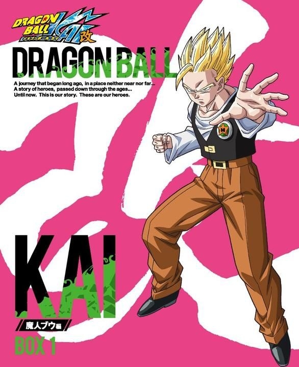 ドラゴンボール改　魔人ブウ編　DVD 全20巻　全巻セット　レンタル落ち DVD ドラゴンボール改 魔人ブウ編 全20巻 ※ケース無し発送