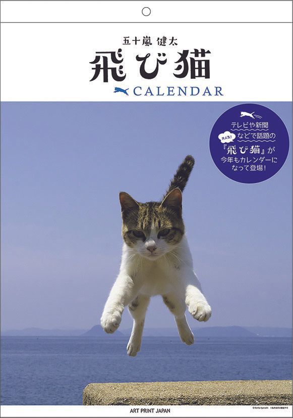YESASIA Flying Cat 2024 Calendar (Japan Version) PHOTO/POSTER,CALENDAR