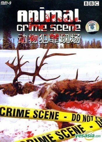 YESASIA: Animal Crime Scene (DVD) (English Subtitled) (China Version) DVD -  Liao Zhu Wen Hua Yi Shu Yin Xiang Chu Ban She - Western / World Movies &  Videos - Free Shipping - North America Site
