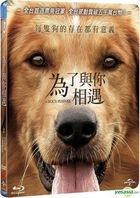 A Dog's Purpose (2017) (Blu-ray) (Taiwan Version)
