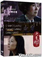 Beneath the Banyan Tree (2021) (DVD) (Taiwan Version)