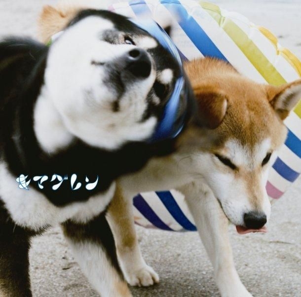 YESASIA Alive (ALBUM+DVD)(初回限定盤)(日本版) CD キマグレン, ユニバーサルJ 日本の音楽CD 無料配送