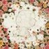 Flowerwall (普通版)(日本版)