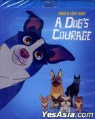 A Dog's Courage (Blu-ray) (美國版)