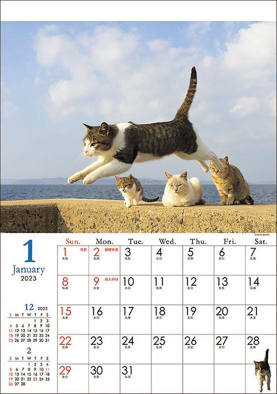 YESASIA Flying Cat 2023 Calendar (Japan Version) PHOTO/POSTER,CALENDAR